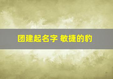 团建起名字 敏捷的豹